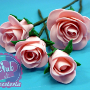 Cómo Hacer Rosas de Azúcar Paso a Paso