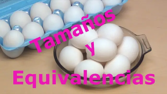 Tamaños de Huevos y Equivalencias por Rosa Quintero