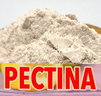 Pectina en Polvo con Logo