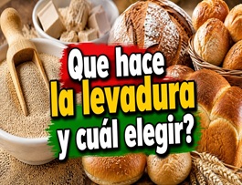 Cómo trabaja la levadura